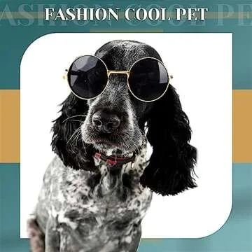 Fashionable Dog Sunglasses for Every Occasion