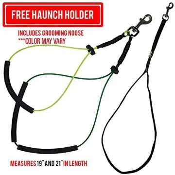 Downtown Pet Supply Dog Grooming Arm with Clamp and Grooming Loop, 1 Haunch, Blue - Adjustable, Steel Grooming Table Arm with Table Clamp, No Sit Haunch Holder Dog Grooming Restraint and Loop