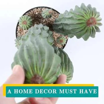 Huisezing 30" Artificial Cactus for Home or Office Decor