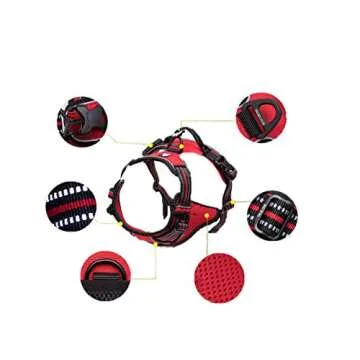 WINHYEPET True Love Dog Harness, No-Pull Reflective Pet Harness with 2 Leash Clips Adjustable Soft Padded Dog Vest with Easy Control Handle for Small Medium Large Dogs TLH5651(Blue,M)