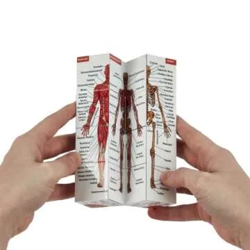 Human Anatomy Study Cube - Perfect Gift for Medical Students