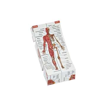 Human Anatomy Study Cube | Study 9 Parts of The Human Body | Perfect Anatomy Revision Guide | Addictive Anatomy Model Cube | Great Gift for Nurse, Dentist, Medical Students
