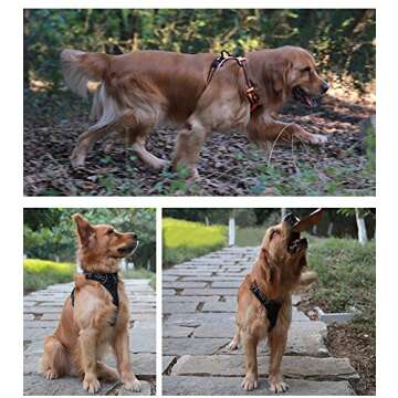JUXZH Soft Front Dog Harness .Best Reflective No Pull Harness with Handle and 2 Leash Attachments