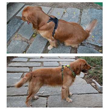 JUXZH Soft Front Dog Harness .Best Reflective No Pull Harness with Handle and 2 Leash Attachments