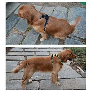 JUXZH Soft Front Dog Harness .Best Reflective No Pull Harness with Handle and 2 Leash Attachments