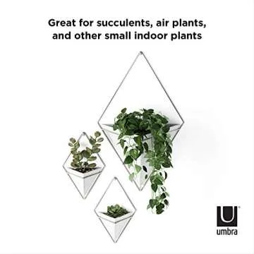 Umbra Trigg Wall Planter - Stylish Succulent Holder