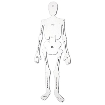 Educational Soft Foam Skeleton Puzzle for Kids Anatomy Learning