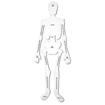 Educational Soft Foam Skeleton Puzzle for Kids Anatomy Learning