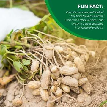 Hampton Farms Roasted Unsalted Peanuts – 5 lb. Bag