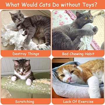 Durable ETEKYER Catnip Toys for Endless Cat Fun