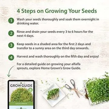 Home Grown Non-GMO Alfalfa Sprouting Seeds - Grow Fresh!