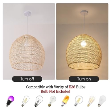 Teru Ji Kaikang 1-Light Rattan Pendant Light