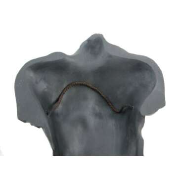 Veronese Design Bronze Finish Nude Male Torso Wall Hanging Figure Anatomy