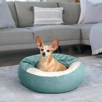 Best Friends by Sheri Cozy Cuddler Ilan Covered Cat and Dog Bed with Attached Blanket, Tide Pool Blue, 24"x24"