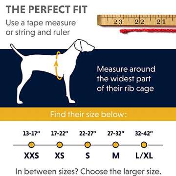 RUFFWEAR - Front Range, Everyday No Pull Dog Harness with Front Clip, Trail Running, Walking, Hiking, All-Day Wear, Tillandsia Purple (2017), Medium