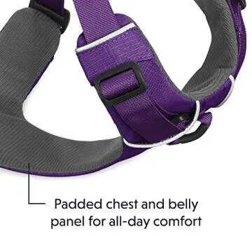 RUFFWEAR Front Range No Pull Dog Harness for All Day Use