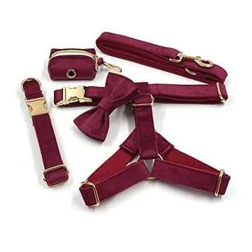 PETDURO Custom Dog Collar with Engraved Metal Buckle