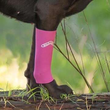 WALKABOUT Compression Sleeve for Dogs - Pain Relief.