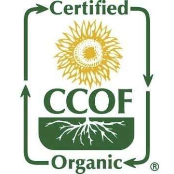 McCabe Organic Sun-Dried Jujube, 130g