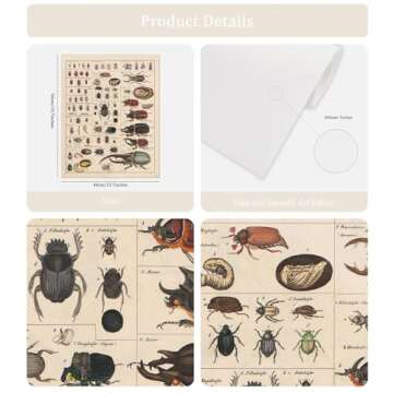 Meishe Art Vintage Poster Print Insects Collection Species Identification Reference Chart Entomology...