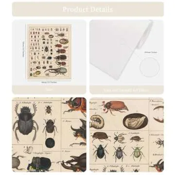 Meishe Art Vintage Poster Print Insects Collection - Entomology Diagram for Classroom Decoration