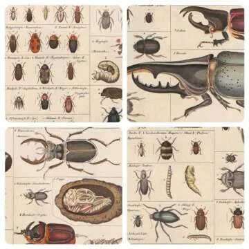Meishe Vintage Insects Poster - Durable Art for Education