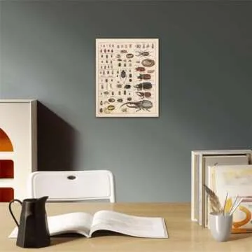 Meishe Vintage Insects Poster - Durable Art for Education