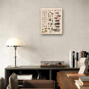 Meishe Art Vintage Poster Print Insects Collection Species Identification Reference Chart Entomology Diagram Classroom Club Wall Decor