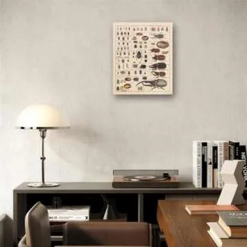 Meishe Vintage Insects Poster - Durable Art for Education