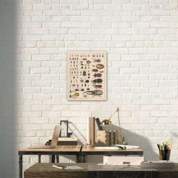 Meishe Art Vintage Poster Print Insects Collection Species Identification Reference Chart Entomology Diagram Classroom Club Wall Decor