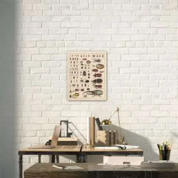 Meishe Vintage Insects Poster - Durable Art for Education