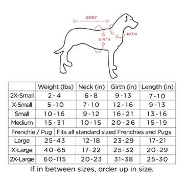 Unique Handmade Dog Poncho from Authentic Mexican Blanket