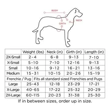 Unique Handmade Dog Poncho from Authentic Mexican Blanket