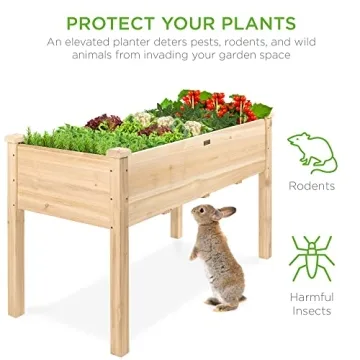 Durable Elevated Cedar Planter Box for Healthy Plants