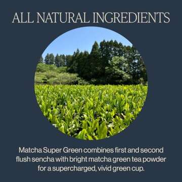 Rishi Tea Matcha Super Green - Organic Caffeinated Sachet Bags