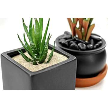 (5 Pounds) Natural Decorative Real Sand - Beige - for use in Crafts, Decor, Vase Filler, Aquariums and More!