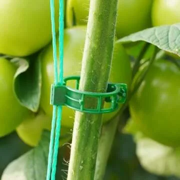 CIQIYO 100 Pcs Durable Plant Support Clips for Gardening