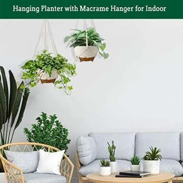 Koalaime 10 Inch Hanging Planters - Self Watering Solution