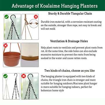 Koalaime 10 Inch Hanging Planters - Self Watering Solution