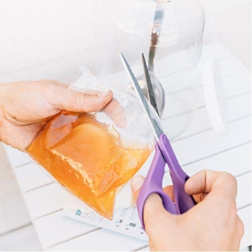 Kombucha SCOBY Starter for Healthy DIY Brewing