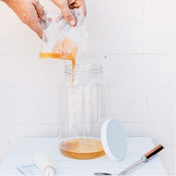 Kombucha SCOBY Starter for Healthy DIY Brewing
