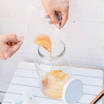 Kombucha SCOBY Starter for Healthy DIY Brewing