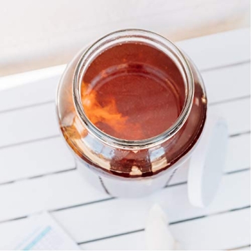 Kombucha SCOBY Starter for Healthy DIY Brewing