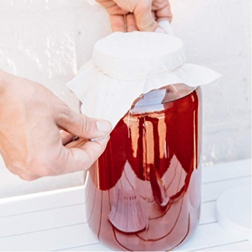 Kombucha SCOBY Starter for Healthy DIY Brewing