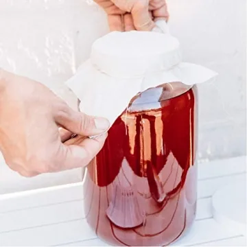 Kombucha SCOBY Starter for Healthy DIY Brewing