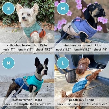 Gooby Mountaineer Dog Jacket for Small Dogs - Warm & Easily Washable