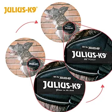Julius-K9 IDC Powerharness for Medium to Large Dogs