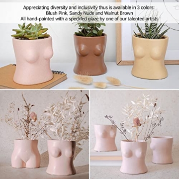Stylish BASE ROOTS Home Decor Plant Pot for Indoor Use