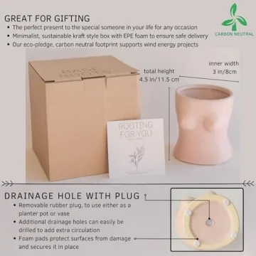 Stylish BASE ROOTS Home Decor Plant Pot for Indoor Use