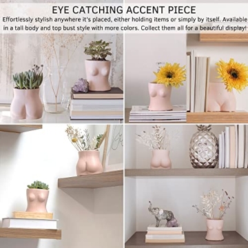 Stylish BASE ROOTS Home Decor Plant Pot for Indoor Use